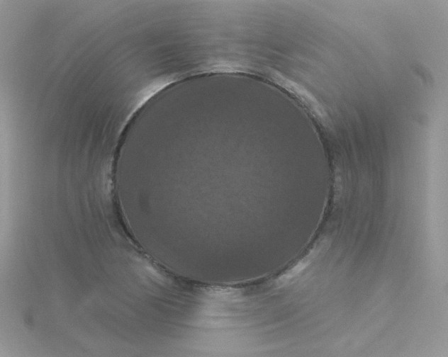 X0000115321170200911231344