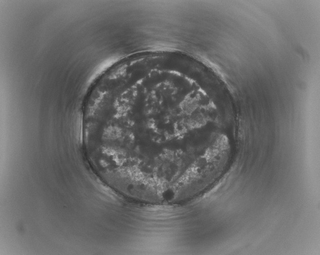 X0000115321171200911231344