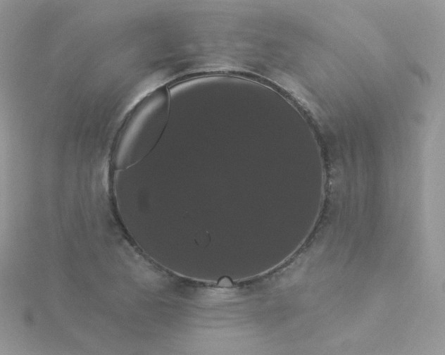 X0000115321173200911231344