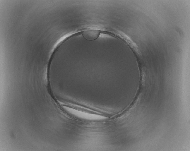 X0000115321174200911231344