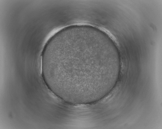 X0000115321175200911231344