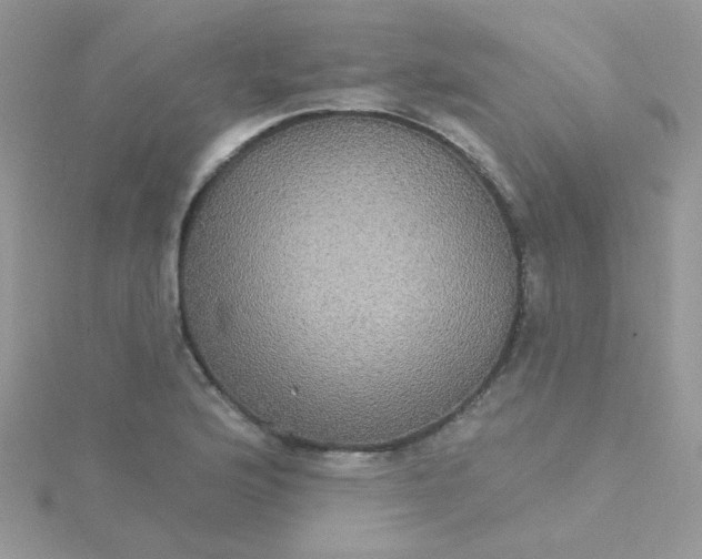 X0000115321176200911231344