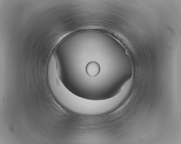 X0000115321177200911231344