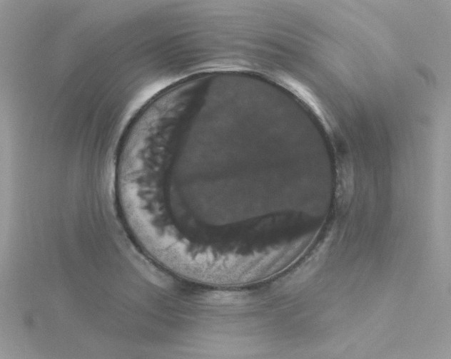 X0000115321179200911231344