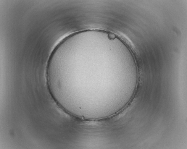 X0000115321182200911231344