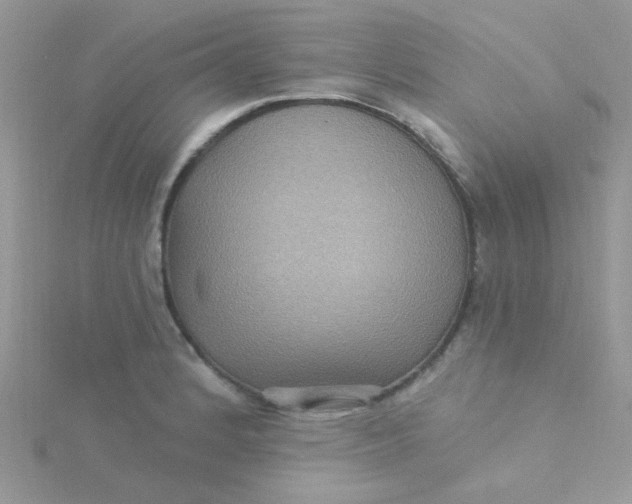 X0000115321184200911231344