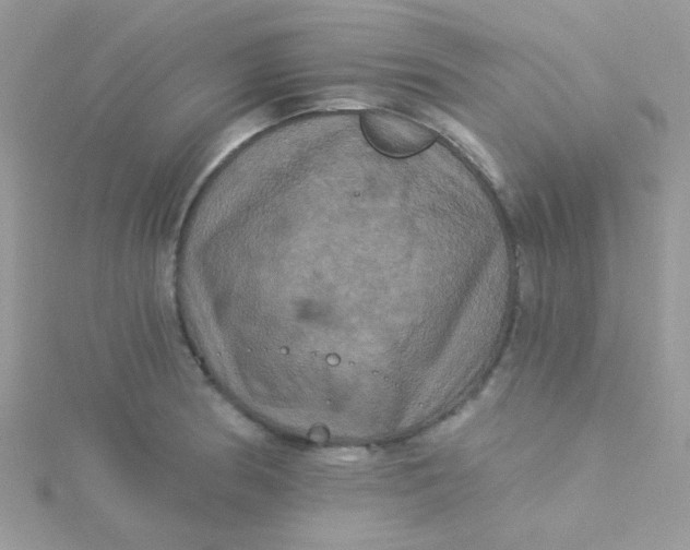 X0000115321186200911231344