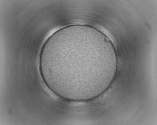 X0000115321187200911231344