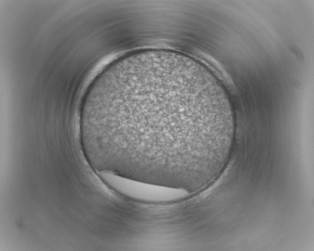 X0000115321188200911231344