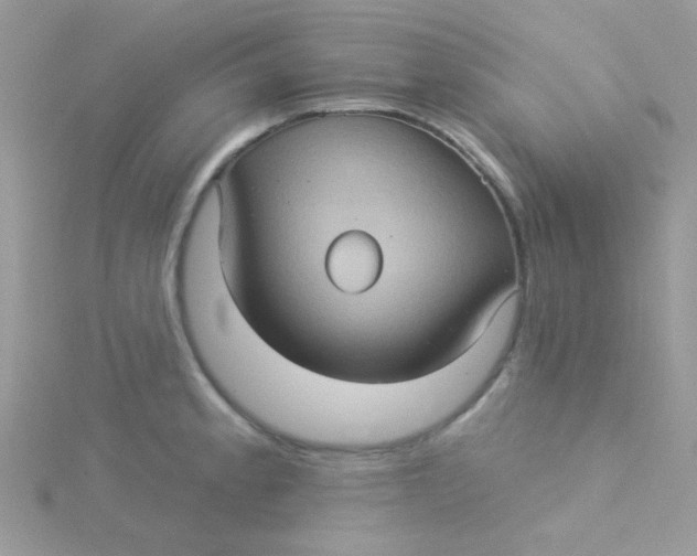 X0000115321189200911231344