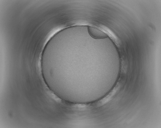 X0000115321190200911231344