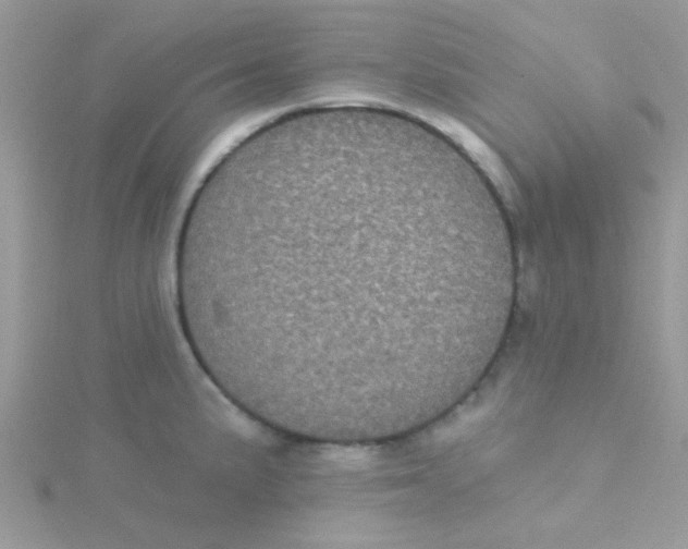 X0000115321191200911231344