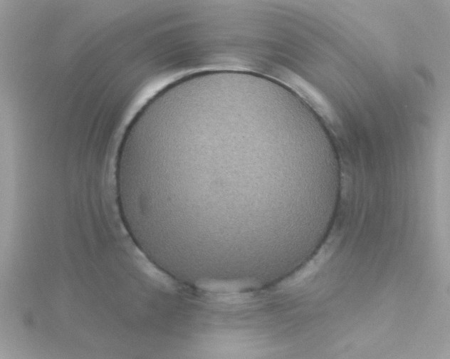 X0000115321192200911231344