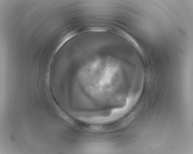 X0000115321194200911231344