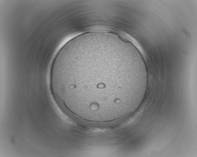 X0000115321195200911231344