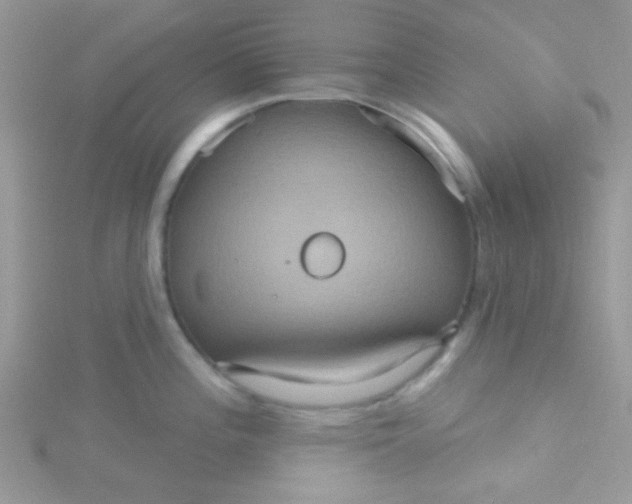 X0000115321196200911231344