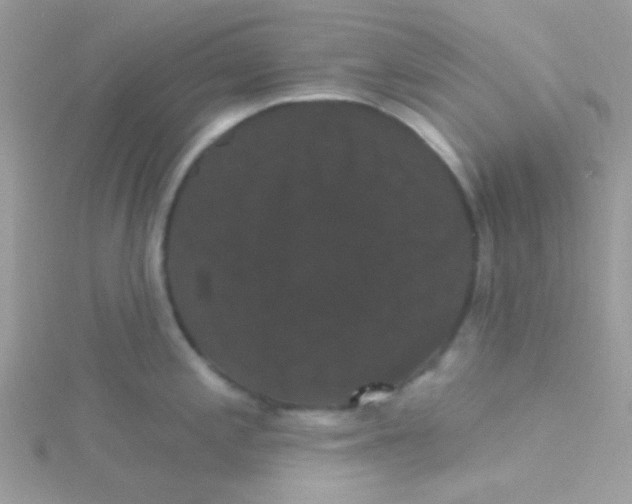 X0000115321197200911231344