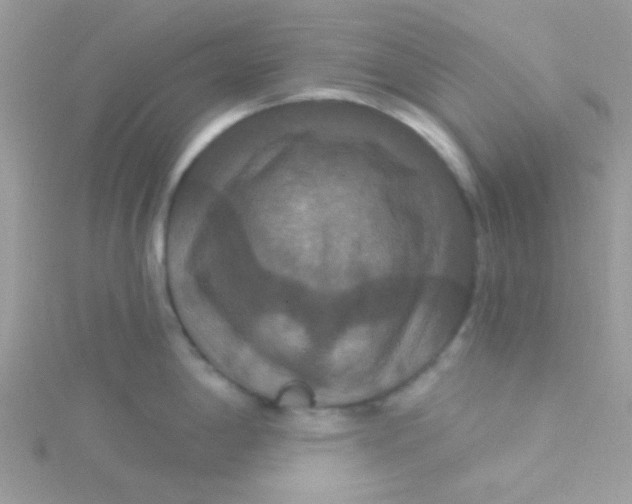 X0000115321198200911231344