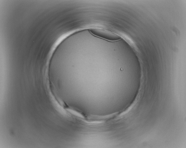 X0000115321200200911231344