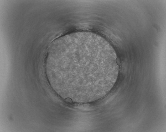 X0000115321201200911231343