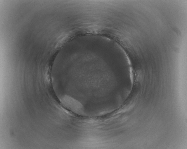 X0000115321202200911231343