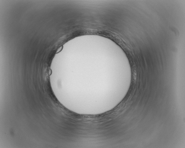 X0000115321204200911231343