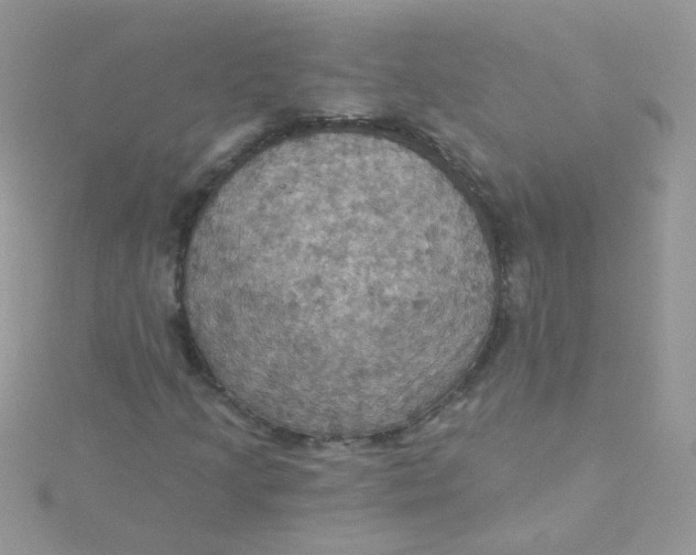 X0000115321205200911231343