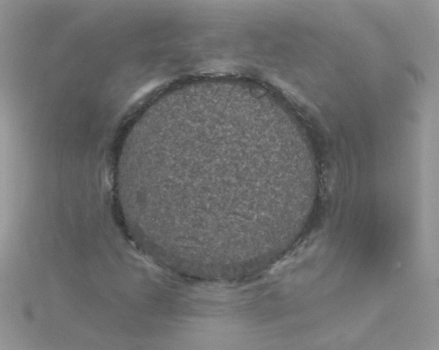 X0000115321206200911231343