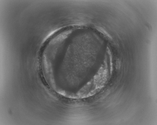 X0000115321208200911231343