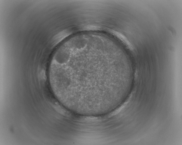 X0000115321209200911231343