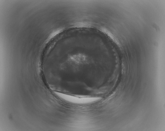 X0000115321213200911231343