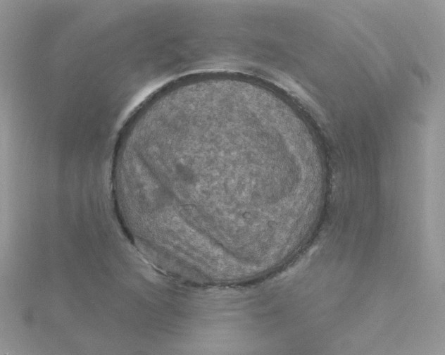 X0000115321216200911231343