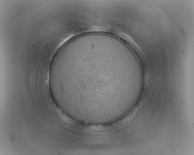 X0000115321220200911231343