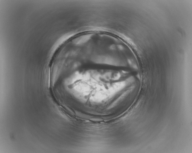 X0000115321223200911231343