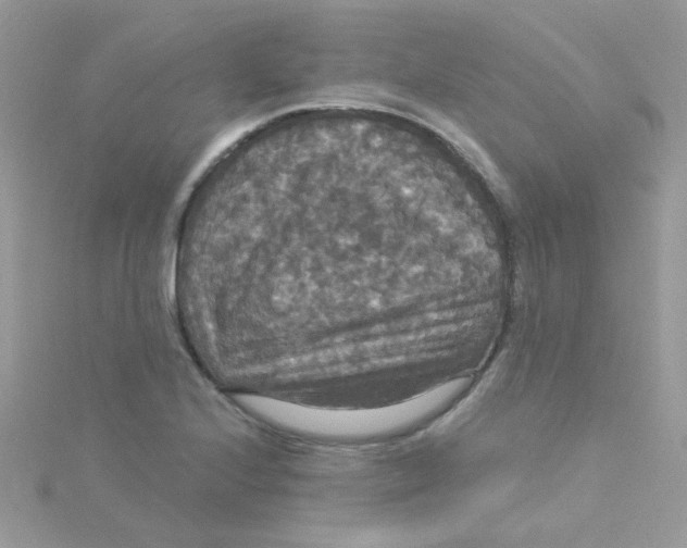 X0000115321224200911231343