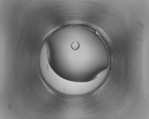 X0000115321225200911231344