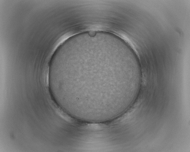 X0000115321227200911231344