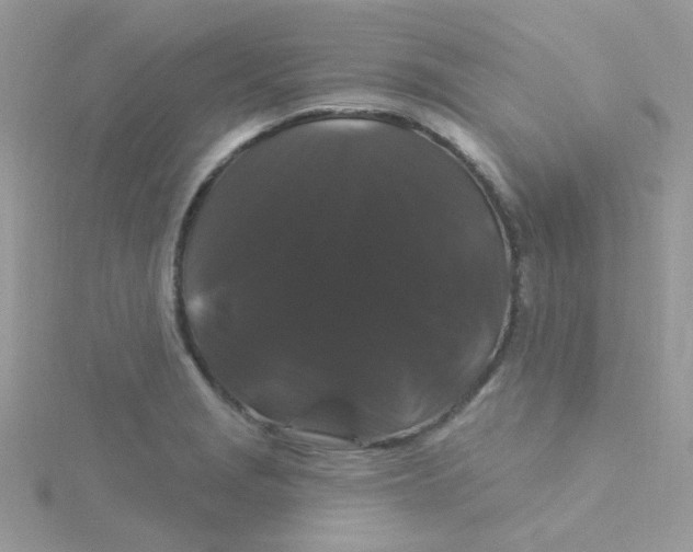 X0000115321229200911231344