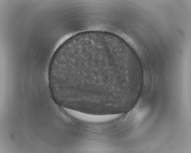 X0000115321230200911231344