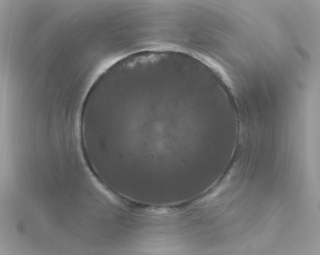 X0000115321231200911231344