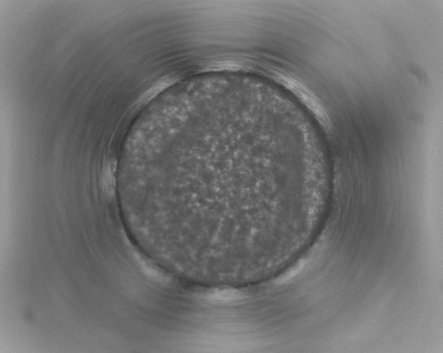 X0000115321233200911231344