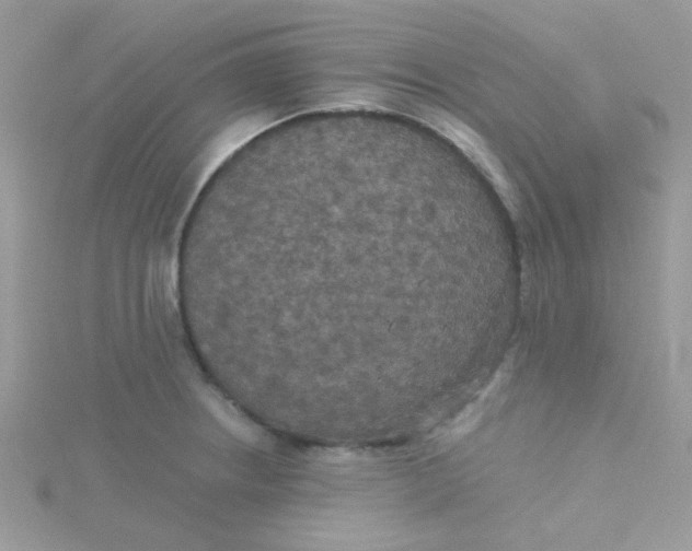 X0000115321234200911231344