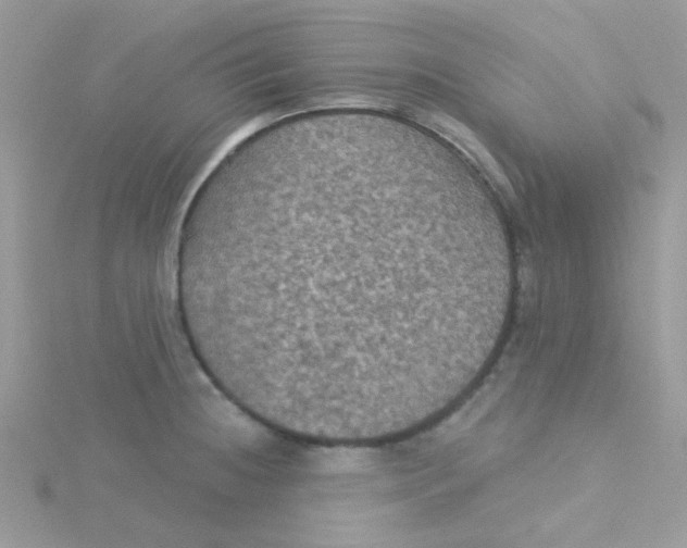 X0000115321236200911231344