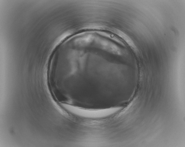 X0000115321237200911231344