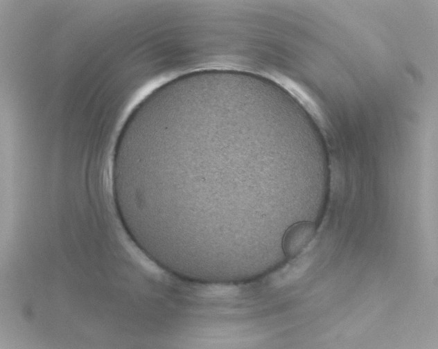 X0000115321238200911231344