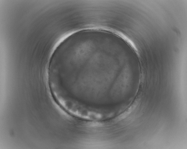 X0000115321239200911231344