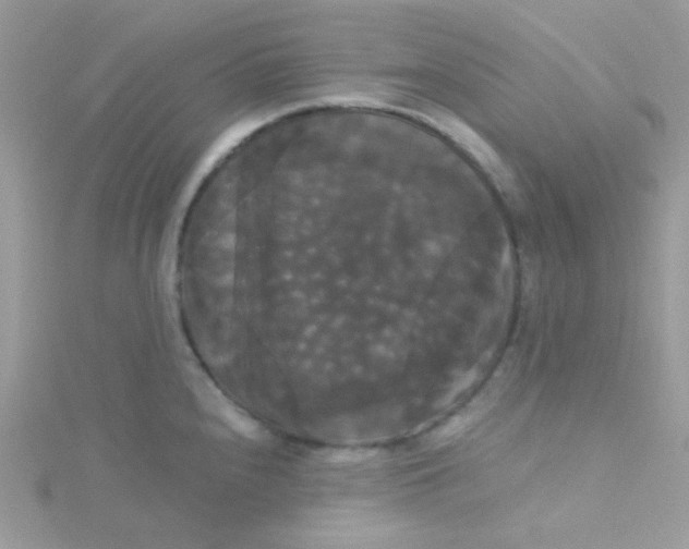 X0000115321240200911231344