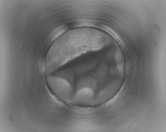 X0000115321241200911231344