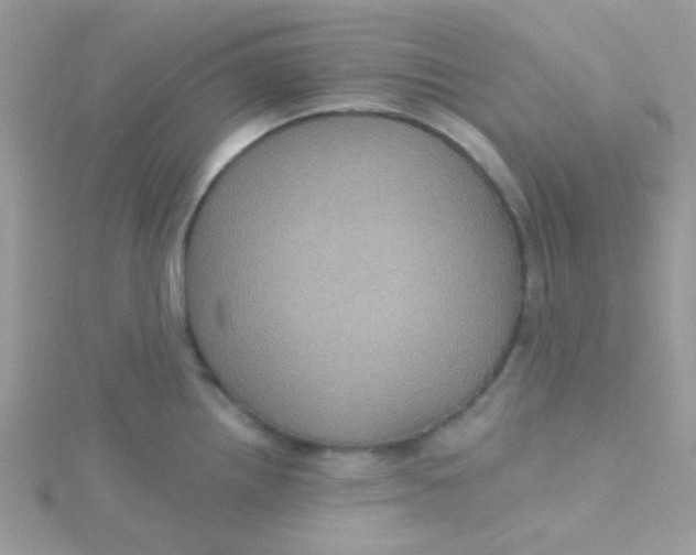 X0000115321242200911231344