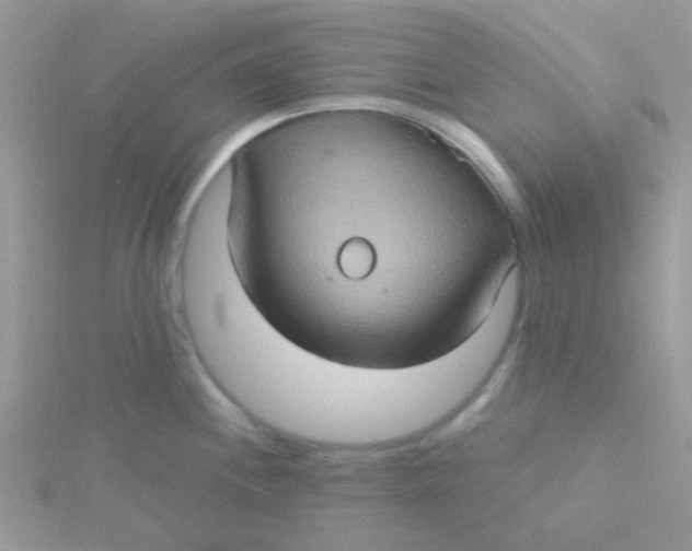 X0000115321244200911231344